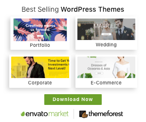 Best WordPress themes 2024